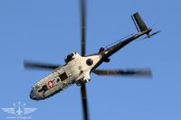 IMG_2231