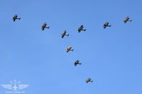 IMG_8550