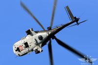 IMG_9314