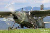 IMG_8559