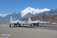 Insgesamt least Österreich zwölf F-5 E Tiger II Insgesamt least Österreich zwölf F-5 E Tiger II