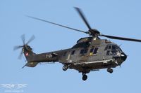 IMG_2248