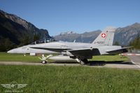 IMG_2121