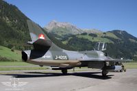 IMG_4501