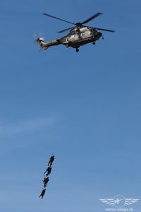 IMG_4400