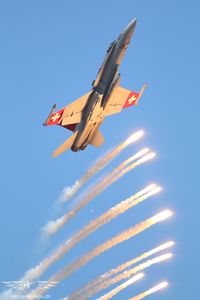 IMG_7614