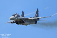 IMG_4460