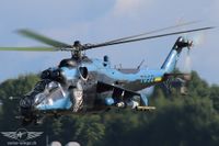 IMG_5924