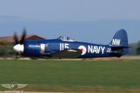 IMG_8787