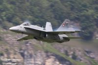IMG_1260