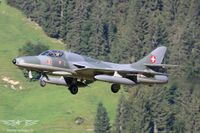IMG_4817