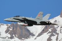 IMG_8833