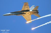 IMG_7881