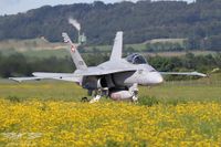 IMG_9729