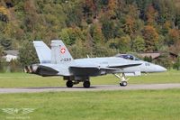 IMG_8141