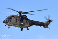 IMG_9485