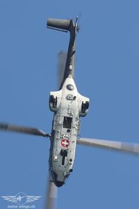 IMG_9750