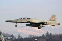 IMG_6293