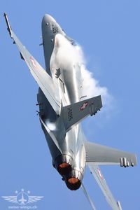 IMG_9486