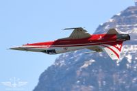 IMG_4537