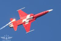 IMG_5251