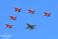 Wings & Friends Grenchen