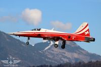 IMG_3801